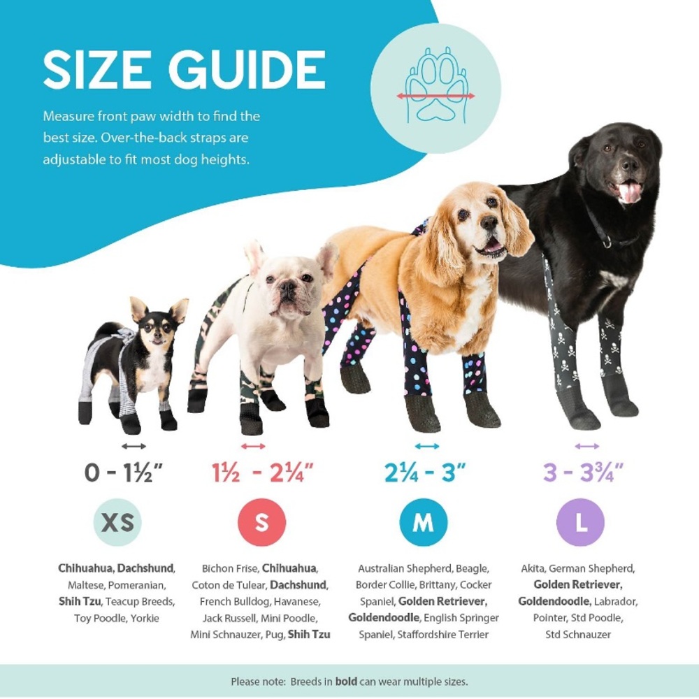 Dog Leggings - Black - Picture 2 of 15